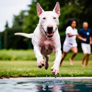 Unleashing Love: Why Bull Terriers Make Great Family Pets